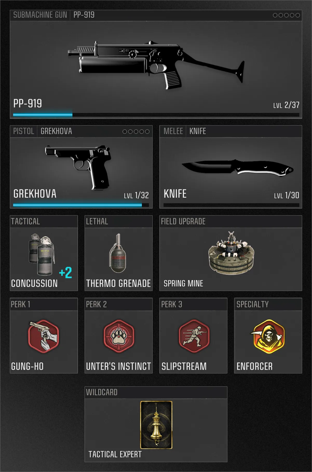 A player loadout with a PP-919 SMG, Grekhova pistol, and red-themed perks such as Gung-Ho and Slipstream. Tactical gear includes concussions and a thermo grenade. (Description by ChatGPT)