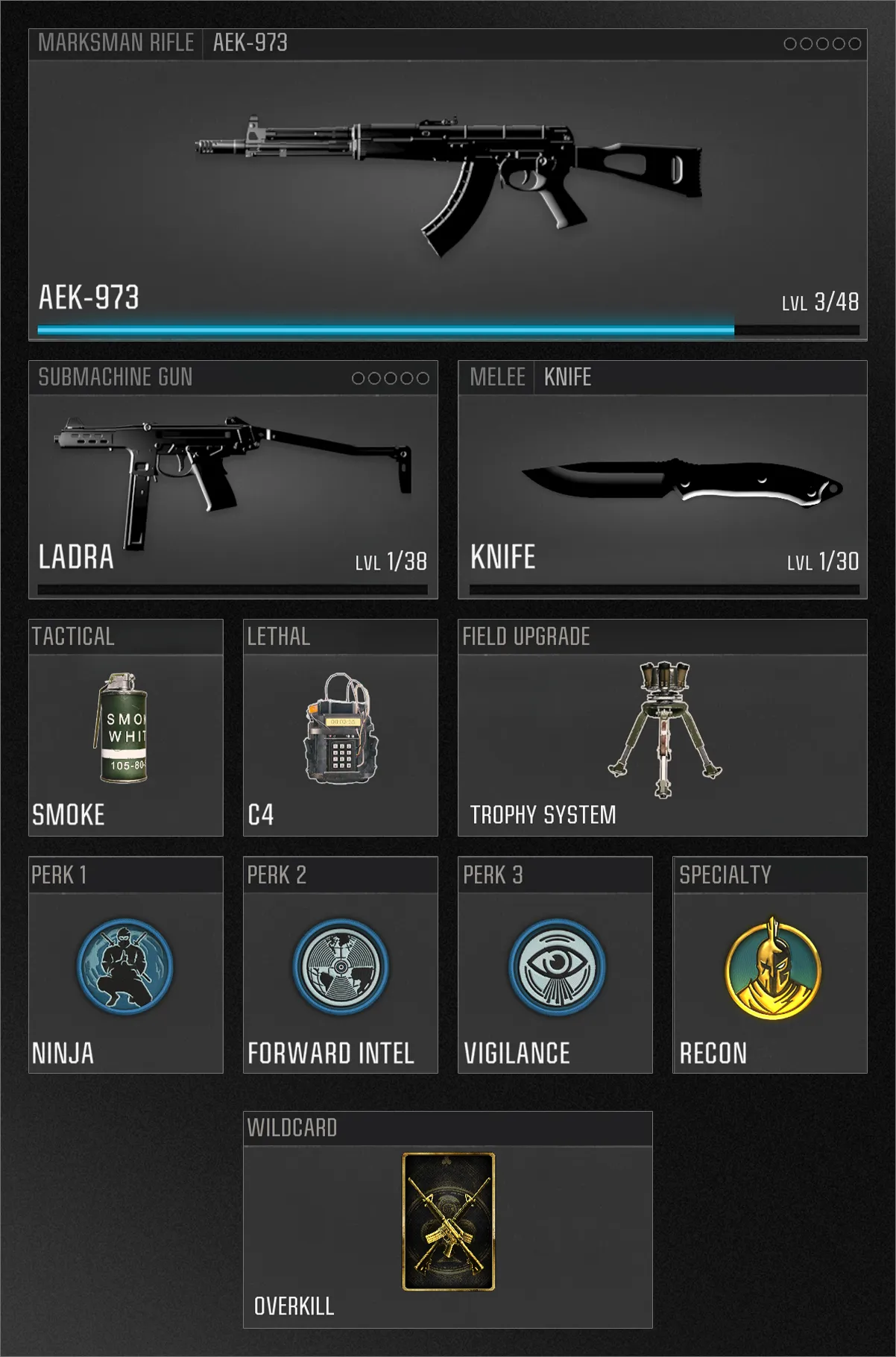 A game loadout screen showing the AEK-973 rifle, LADRA submachine gun, knife, and perks like Ninja and Recon with the Overkill wildcard. Tactical and lethal options include smoke grenades and C4. (Description by ChatGPT)