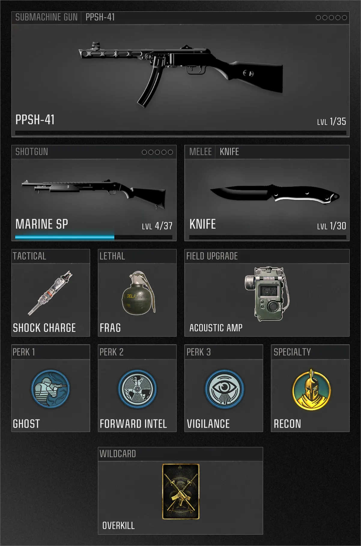A custom loadout screen showing a PPSH-41 submachine gun and Marine SP shotgun with equipment including a shock charge, frag grenade, and Acoustic Amp field upgrade. Perks selected are Ghost, Forward Intel, and Vigilance with the Recon specialty and Overkill wildcard.