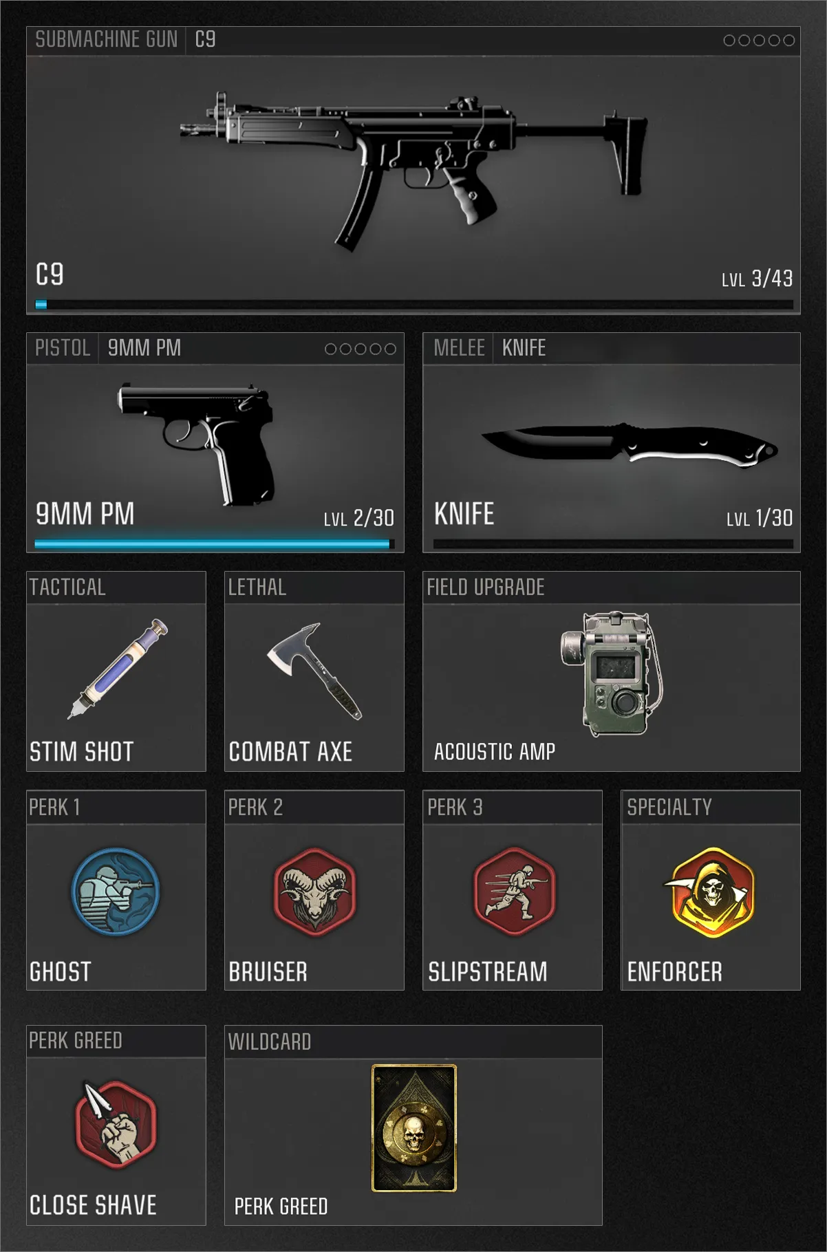 The player loadout includes a C9 submachine gun, 9mm PM pistol, and a combat axe, with tactical gear like a stim shot and an Acoustic Amp field upgrade. Perks include Ghost, Bruiser, and Slipstream, along with the Enforcer specialty and Perk Greed wildcard. (Description by ChatGPT)