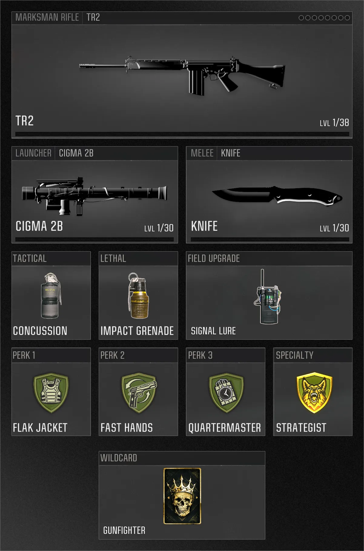 This loadout screen displays the TR2 marksman rifle, Cigma 2B launcher, knife, and perks including Flak Jacket and Fast Hands, along with tactical gear like a concussion grenade. (Alt text by ChatGPT)