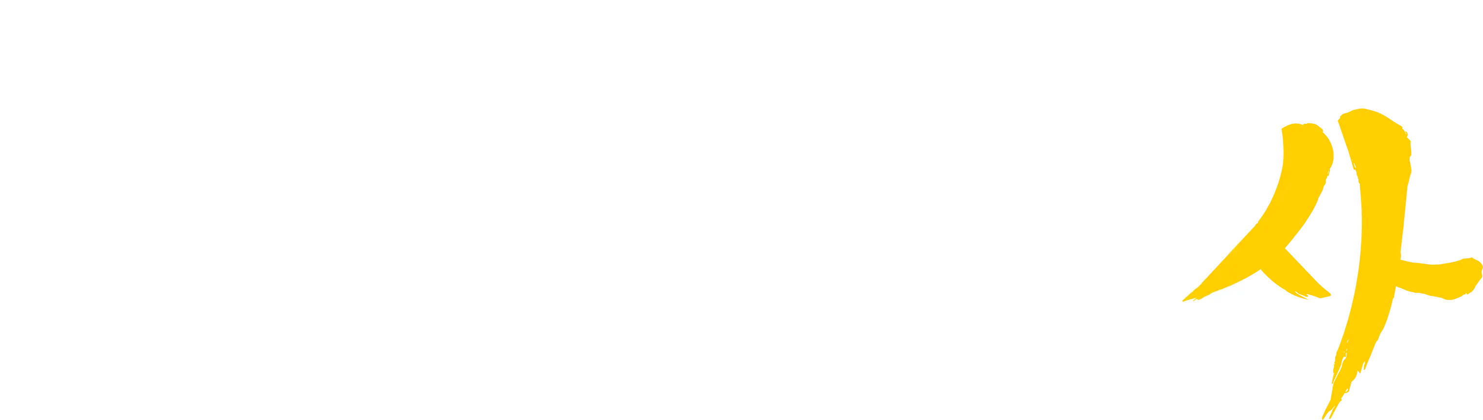 Call of Duty: Modern Warfare 4 logo